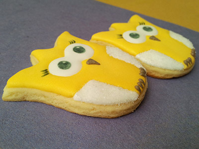 Biscoitos Decorados de Mini Corujinhas